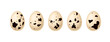 Set of quail eggs isolated on white background. Vector cartoon illustration. 