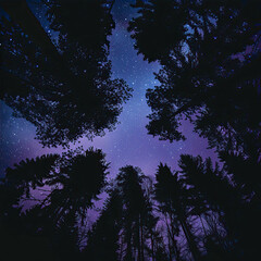 Sticker - Beautiful starry sky over the forest
