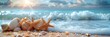 Summer vacation background, seashells and starfish on the beach