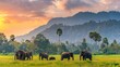 Big asian elephant in green nature park outdoor with mountains background. AI generated image
