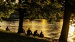 people sitting by the lakean tree at sunset