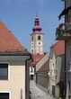 Kirche in Ptuj, Slowenien