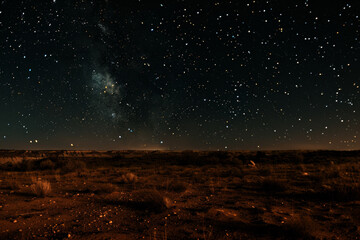 Wall Mural - A dark night sky with a large number of stars. The stars are scattered all over the sky, creating a sense of vastness and emptiness. The scene evokes a feeling of awe and wonder at the beauty