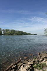 Canvas Print - Rhein bei Biebesheim