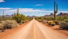 Long Desolate Dirt Road Path In Desert Of South West United States Of America U.S.A. With Saguaro Cactus, Mesquite Trees And Tumbleweeds. Blue Sky Background With Clouds. Arid Climate With No Water