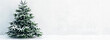 A Christmas tree under the snow on a white background, Generative AI