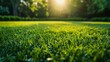 Vibrant Summer Soccer Field on Lush Green Grass Generative AI