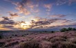 Sunset over heathland 