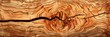 cedar wood with aromatic and reddish textur