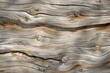 Time-weathered driftwood with serene wave-like patterns offering a tranquil and natural texture for peaceful interiors.