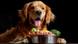 Cut dog and stainless steel dog bowl with raw meat, ground turkey meat, carrots, broccoli, raw egg yolk on top. Healthy raw food for dog. Generative ai