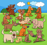 Fototapeta  - cartoon playful dogs characters group in the meadow
