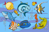 Fototapeta Dinusie - cartoon fish and marine animal characters group