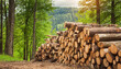 Waldwirtschaft, Holzindustrie, Baumstämme gestapelt im Wald, Polter, KI generiert