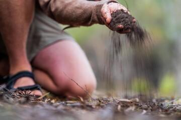 Wall Mural - university student conducting research on forest health. farmer collecting soil samples in a test tube in a field. Agronomist checking soil carbon and plant health on a farm in australia