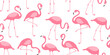 Cartoon flamingo seamless pattern, pink swan background, tropical bird print, summer animal set, cute zoo character wallpaper. Exotic fauna vector illustration