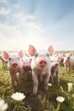 Fototapeta Zwierzęta - piglets in a pigsty Generative AI