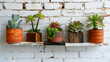 a charming arrangement of succulent plants in various types of pots, mounted on a white brick wall.