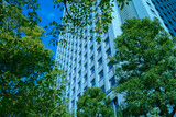 Fototapeta Przestrzenne - 高層ビル　緑の木