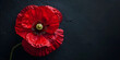 Remembrance day banner with a red poppy flower on a black background, with copy space. Suitable for memorial services, fundraisers, and tributes.