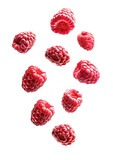 Fototapeta Nowy Jork - Falling raspberries over isolates white transparent background