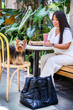 Cheerful woman with a smoothie sits with her yorkshire terrier at an outdoor cafe surrounded by