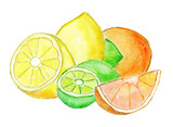 Fototapeta Miasta - Still life with lemon, lime and orange