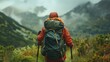 A solo hiker stands facing away from the camera backpack and trekking poles in hand as they conquer a challenging path through the . .