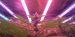 Indoor Cannabis Farming: Cultivated Marijuana Plants Under Specialized Lighting