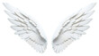 PNG White angle wings feather pattern circle