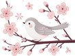 Sakura cute cherry branch pastel