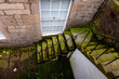 Damped Moss Covered Stone Stairs Leading To A Basement Flat In Edinburgh, Scotland