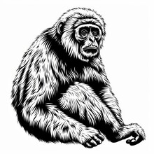 A Detailed Line Drawing Of A Pensive Looking Monkey In A Sitting Pose