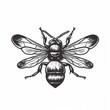 Engraving style detailed illustration of a bee