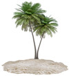 Sandy island and coconut palm tree isolated on background. Piece of round beach with sand for vacation, travel, summer, leisure and enjoy. Summer beach vacation scene concept. 3d rendering
