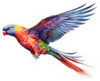 PNG Cute chunky rainbow lorikeet flying bird drawing parrot