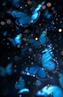 butterflies flying air blue lights background blurry scenery black adult fairy