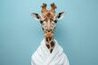 Giraffe in a white bathrobe with a relaxed expression on a blue background.