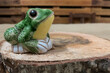 Green frog on the wood.