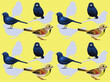 Bird Dickcissel Bunting Seedeater Cartoon Cute Seamless Wallpaper Background