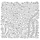 Fototapeta Kwiaty - Doodle Flowers coloring book page. A primitive child's drawing. Floral Vector illustration