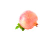 pomegranate fresh fruit isolated on   transparent png