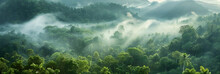 In The Serene Morning Light, Fog Blankets The Lush Forest, Creating A Mystical Atmosphere In The Tranquil Landscape.