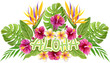 Aloha Hawaii greeting. Tropical greenery bouquet. Hand drawn watercolor painting with Hibiscus flowers and palm leaves isolated on white background. Design element.