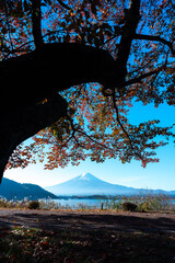 Wall Mural - experience the vibrant colors of autumn in japan: exploring the majestic forests and gardens of kyot