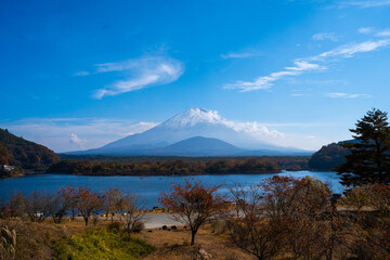 Wall Mural - experience the vibrant colors of autumn in japan: exploring the majestic forests and gardens of kyot