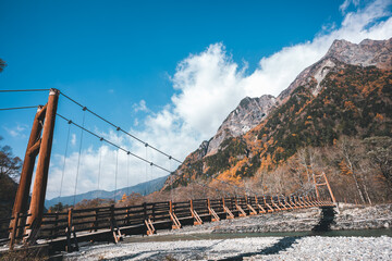 Wall Mural - experience the vibrant colors of autumn in japan: exploring the majestic forests and gardens of kyot