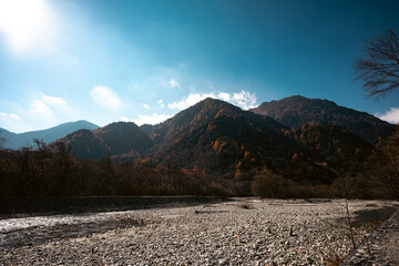 Wall Mural - experience the vibrant colors of autumn in japan: exploring the majestic forests and gardens of kyot