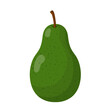 Fresh fruit avocado cartoon vector isolated illustration