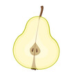 Fresh fruit half sliced green pear cartoon vector isolated illustration